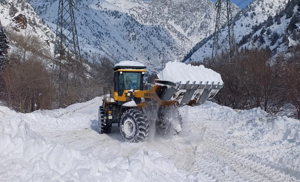 WhatsApp Image 2026-01-28 at 12.59.24.jpeg