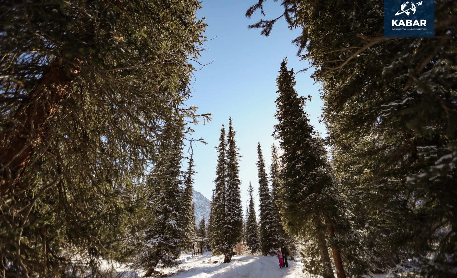 WhatsApp Image 2026-01-12 at 11.25.55.jpeg