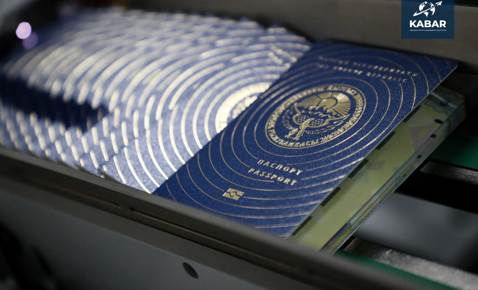 WhatsApp Image 2026-01-16 at 15.37.06 (1).jpeg