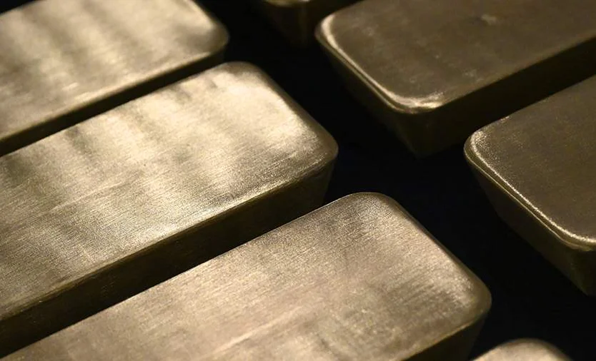 WhatsApp Image 2026-03-19 at 17.06.38.jpeg