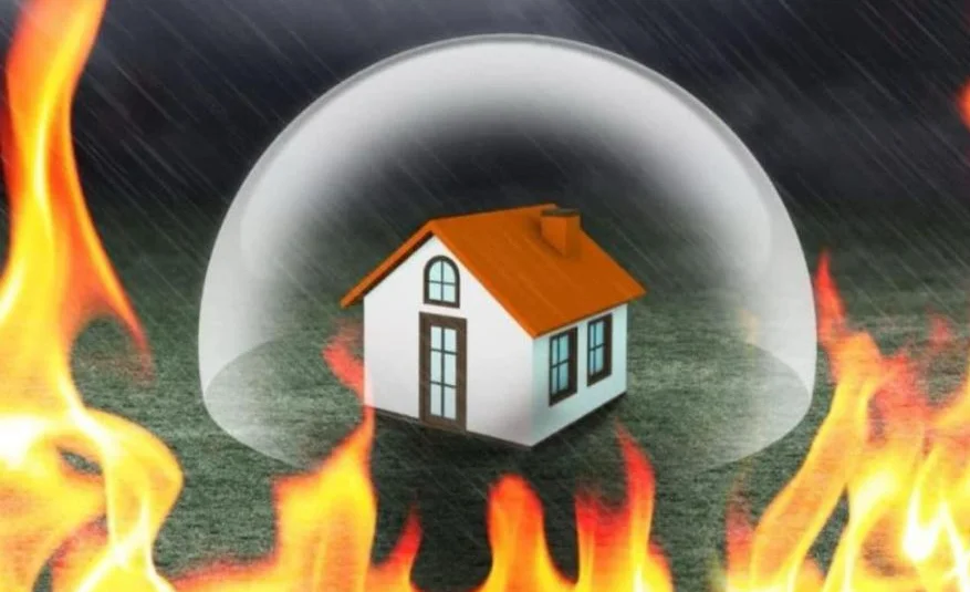 WhatsApp Image 2026-03-13 at 13.44.34.jpeg