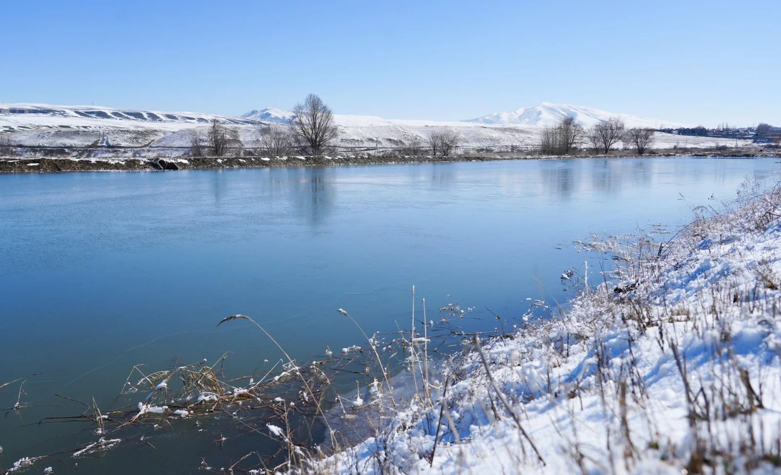 WhatsApp Image 2026-03-12 at 17.42.23.jpeg