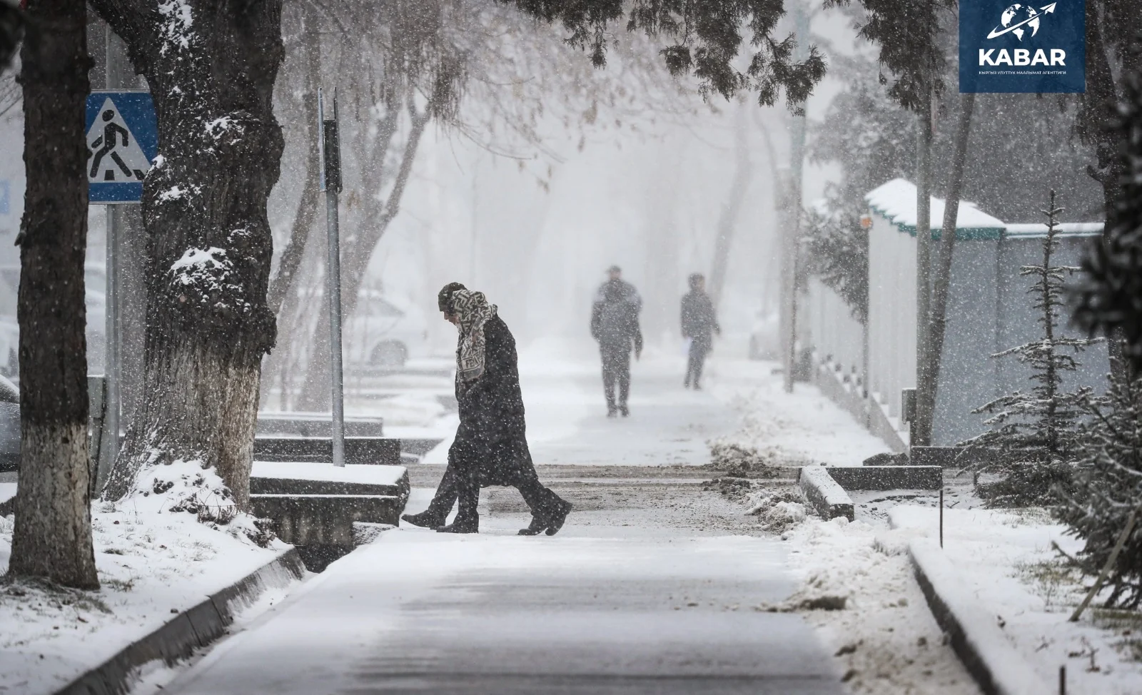 WhatsApp Image 2026-01-16 at 16.37.09.jpeg