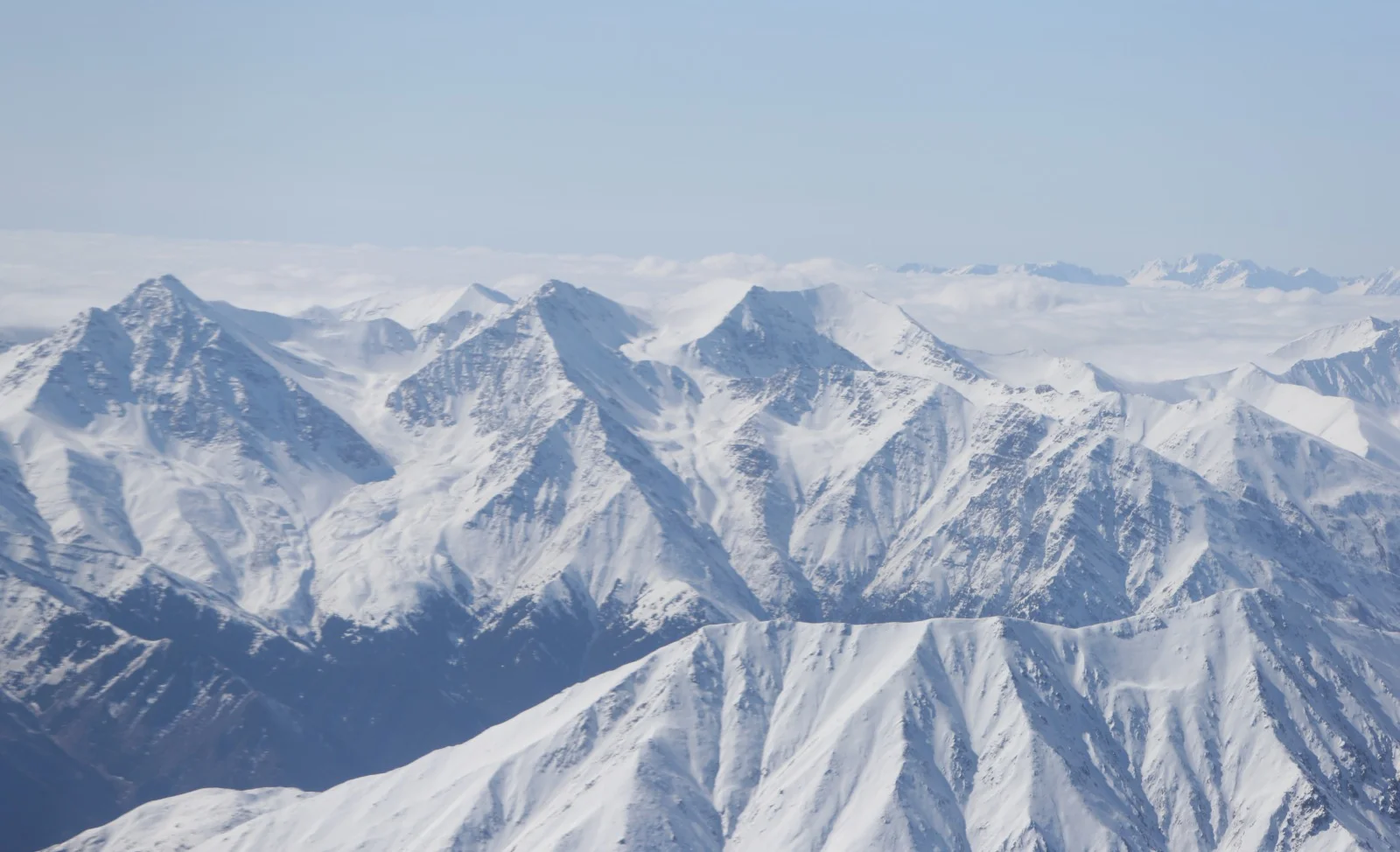 WhatsApp Image 2026-01-21 at 16.26.45.jpeg