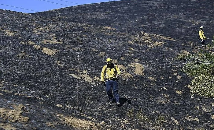 WhatsApp Image 2026-01-14 at 08.34.23.jpeg