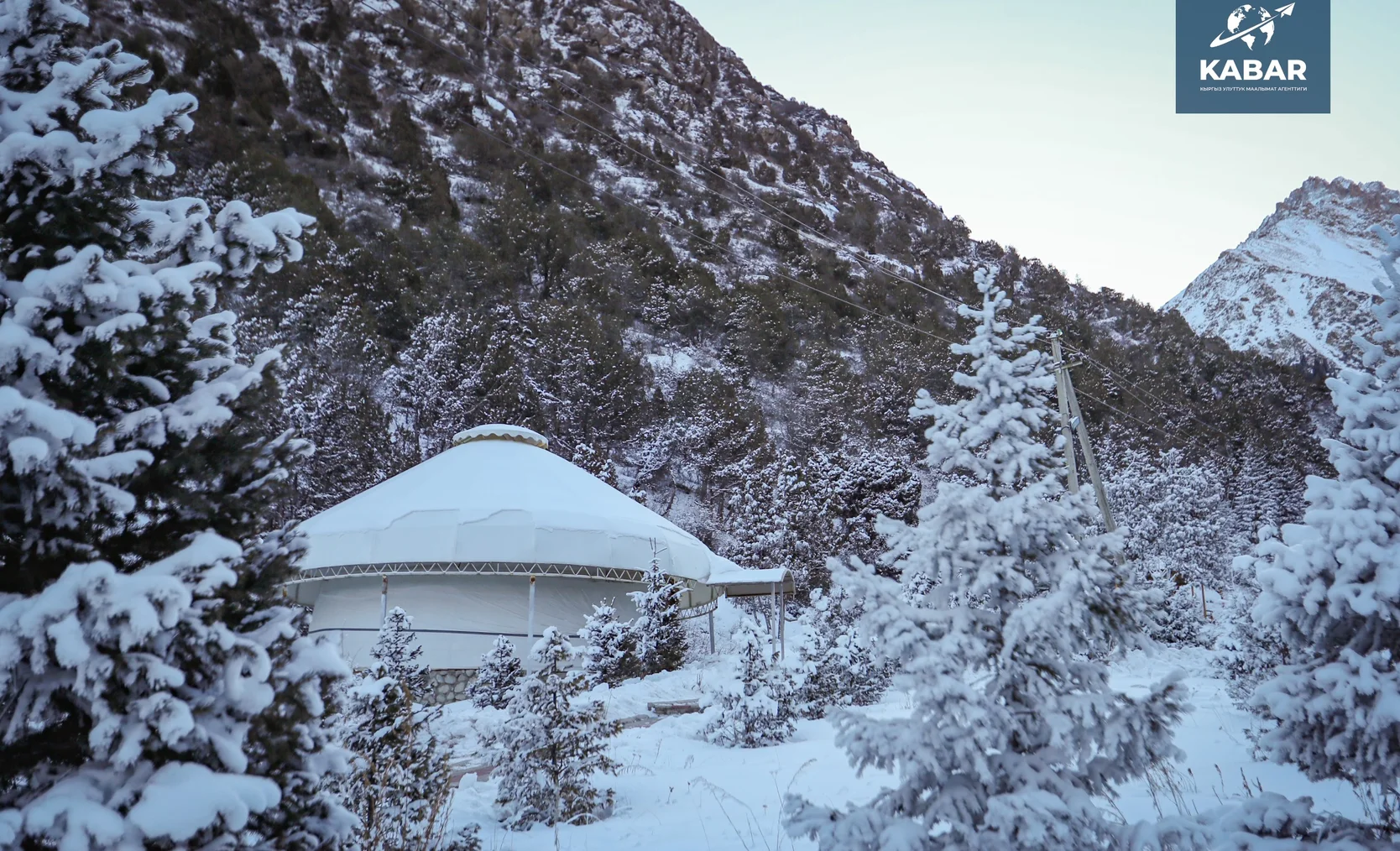 WhatsApp Image 2026-01-16 at 16.14.03.jpeg