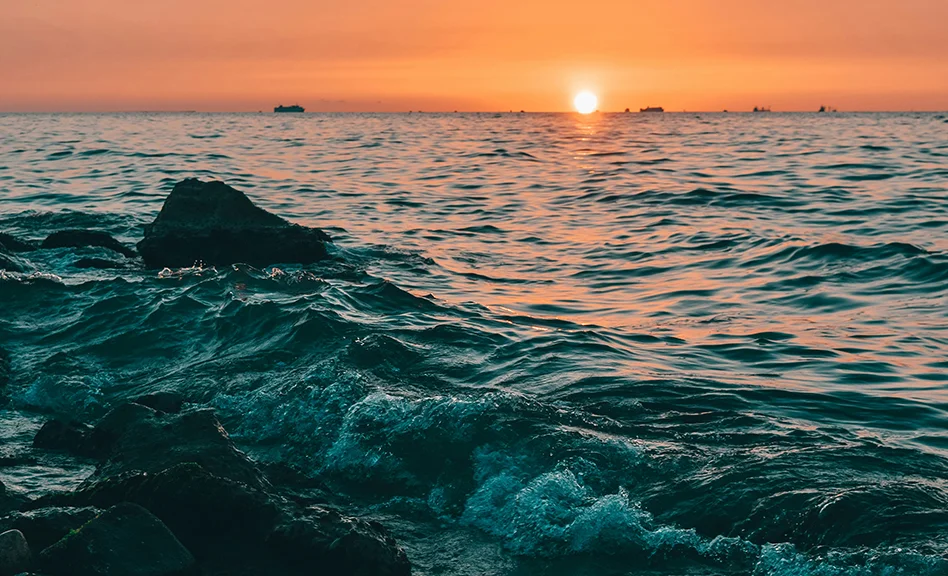 WhatsApp Image 2026-04-01 at 12.21.00.jpeg