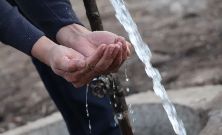 WhatsApp Image 2026-01-30 at 11.10.01.jpeg