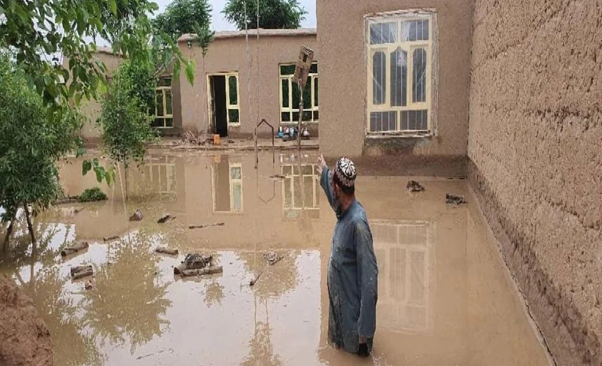 WhatsApp Image 2026-03-31 at 05.49.42.jpeg