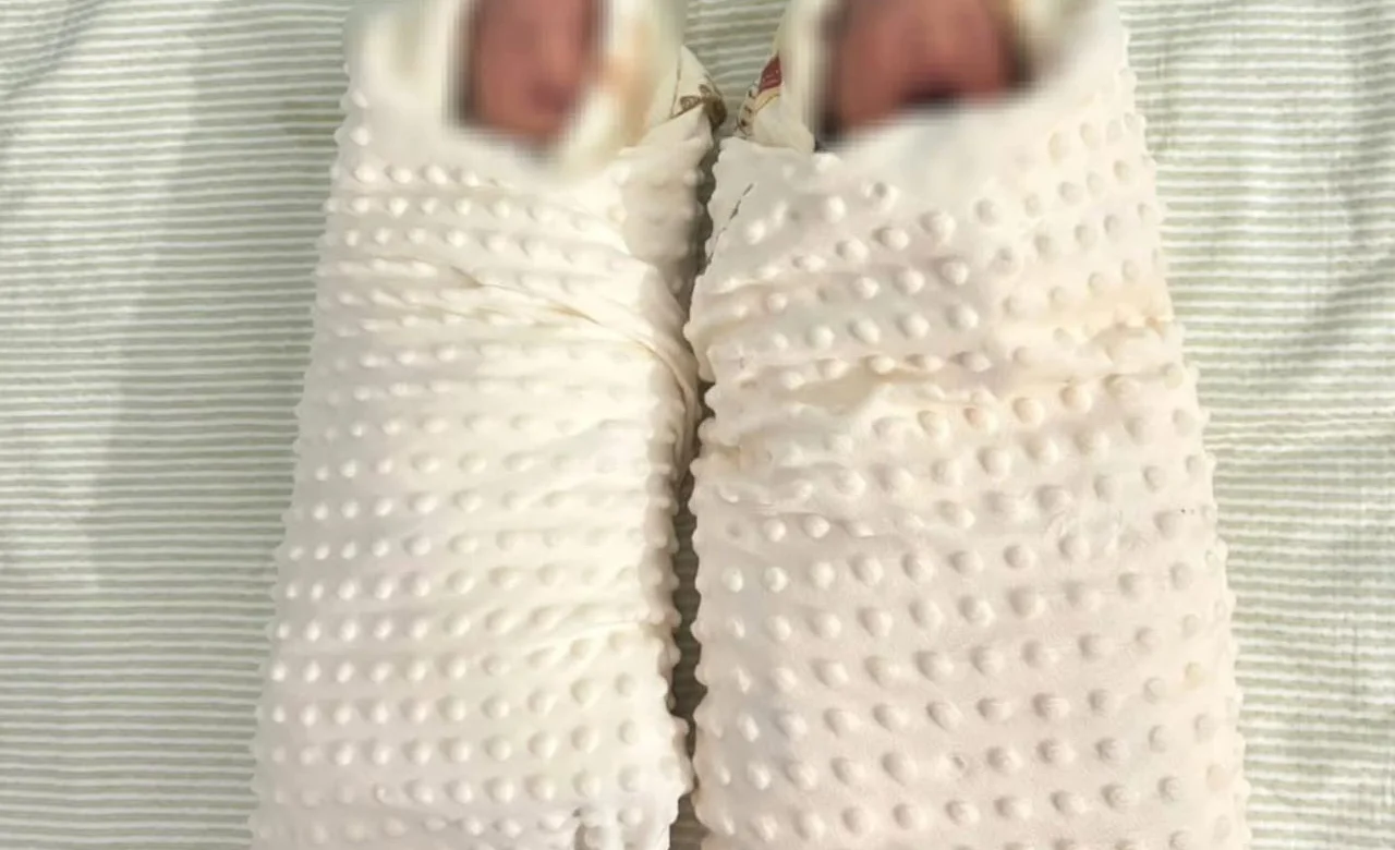 WhatsApp Image 2026-02-21 at 11.39.59.jpeg