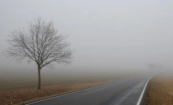 WhatsApp Image 2026-03-06 at 12.20.42.jpeg