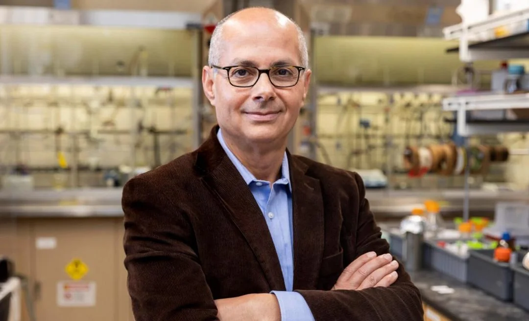 WhatsApp Image 2026-02-24 at 08.49.05.jpeg