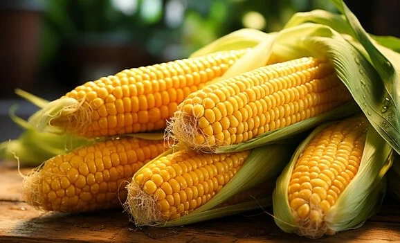 WhatsApp Image 2026-03-19 at 09.53.25.jpeg