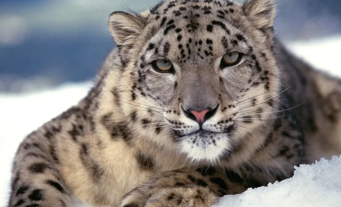 WhatsApp Image 2026-03-13 at 12.45.06.jpeg