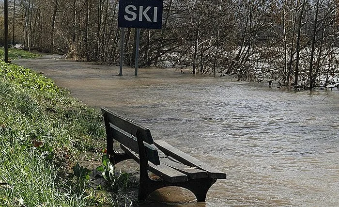 WhatsApp Image 2026-02-19 at 08.40.44.jpeg