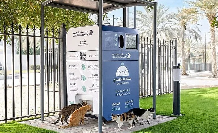 WhatsApp Image 2026-03-11 at 08.49.21.jpeg