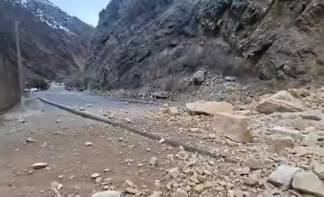 WhatsApp Image 2026-02-13 at 14.53.15.jpeg