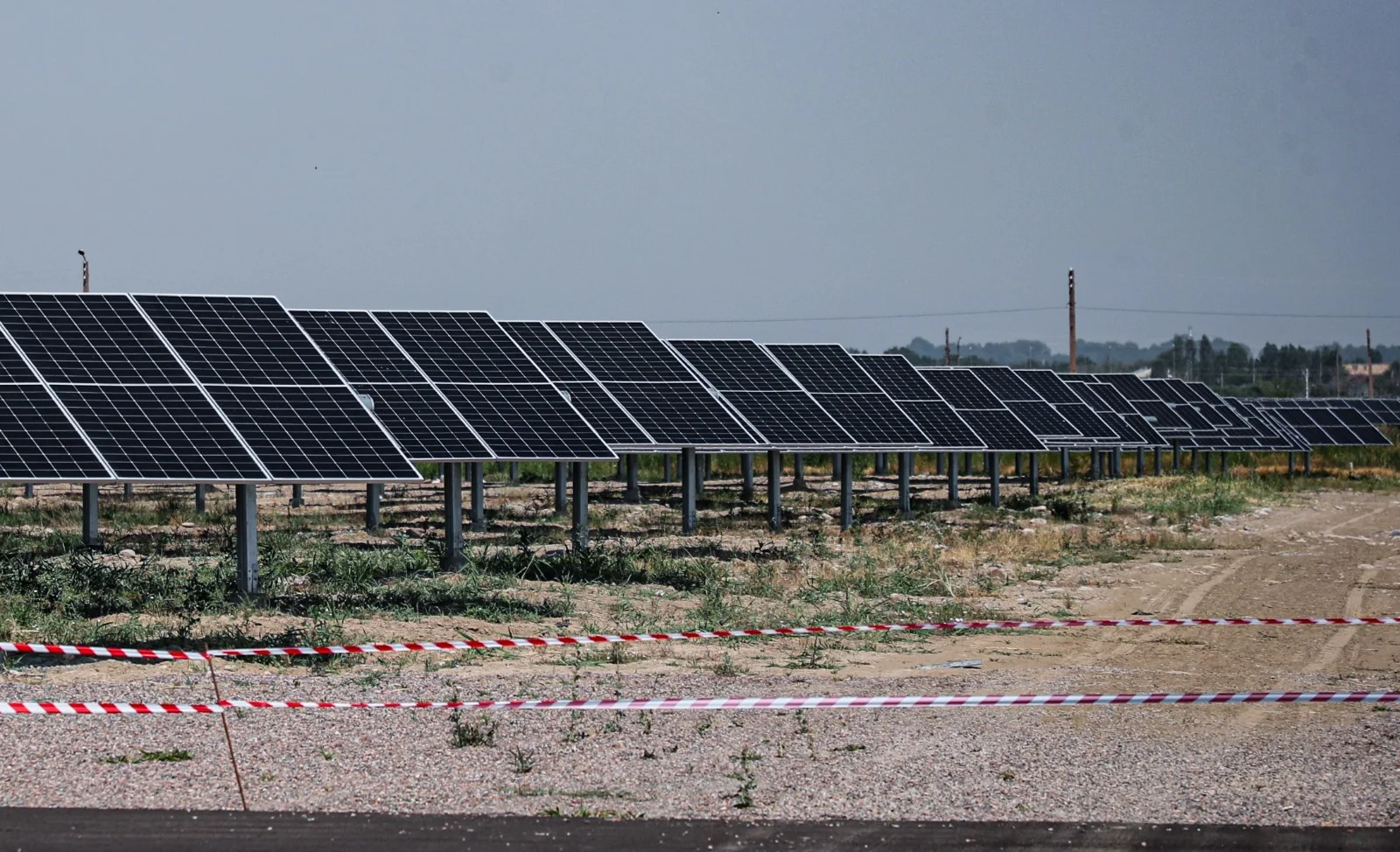 WhatsApp Image 2026-03-17 at 15.31.19.jpeg