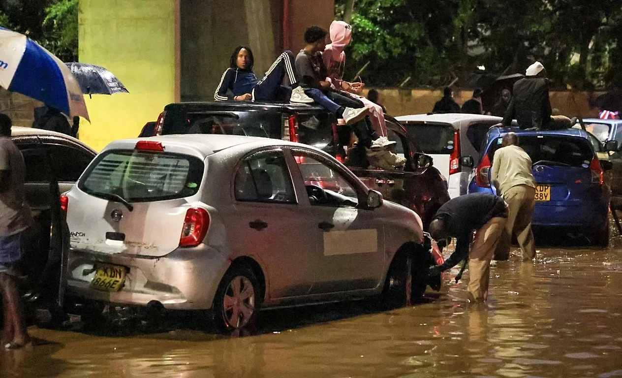 WhatsApp Image 2026-03-10 at 16.50.28.jpeg