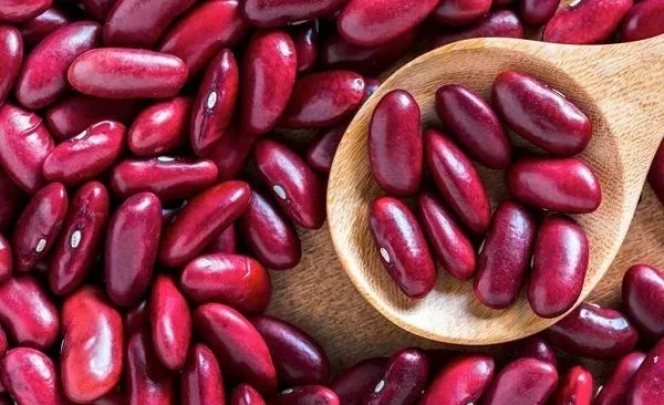 WhatsApp Image 2026-02-11 at 11.36.58.jpeg