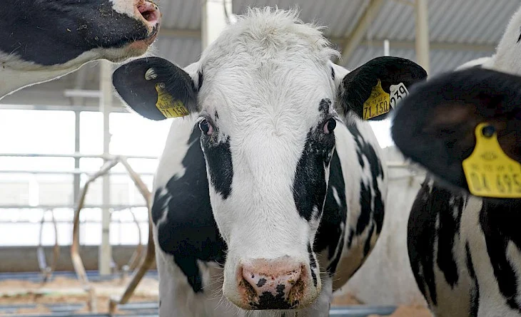 WhatsApp Image 2026-01-26 at 11.51.39.jpeg