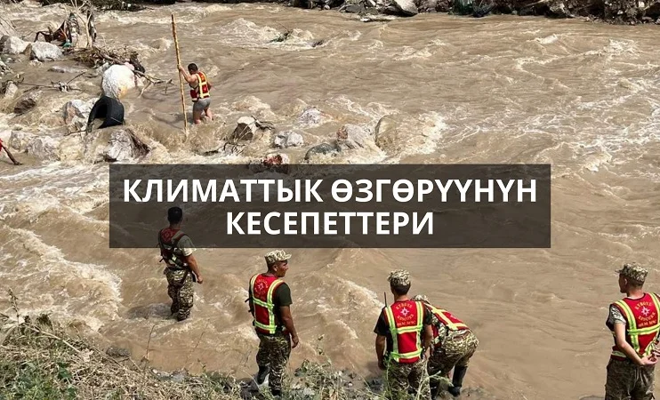 WhatsApp Image 2026-04-28 at 17.26.50.jpeg