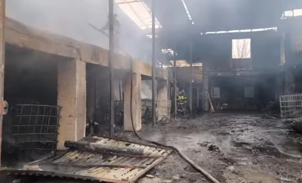 WhatsApp Image 2026-03-08 at 16.59.19.jpeg