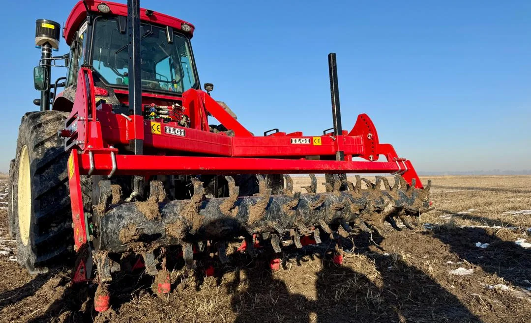 WhatsApp Image 2026-02-01 at 12.55.58.jpeg