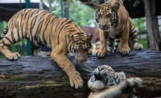 WhatsApp Image 2026-02-25 at 06.58.30.jpeg