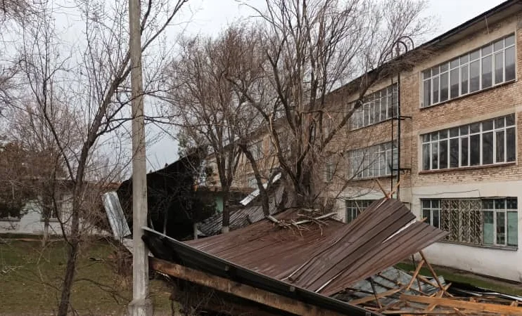 WhatsApp Image 2026-02-21 at 09.08.34 (2).jpeg