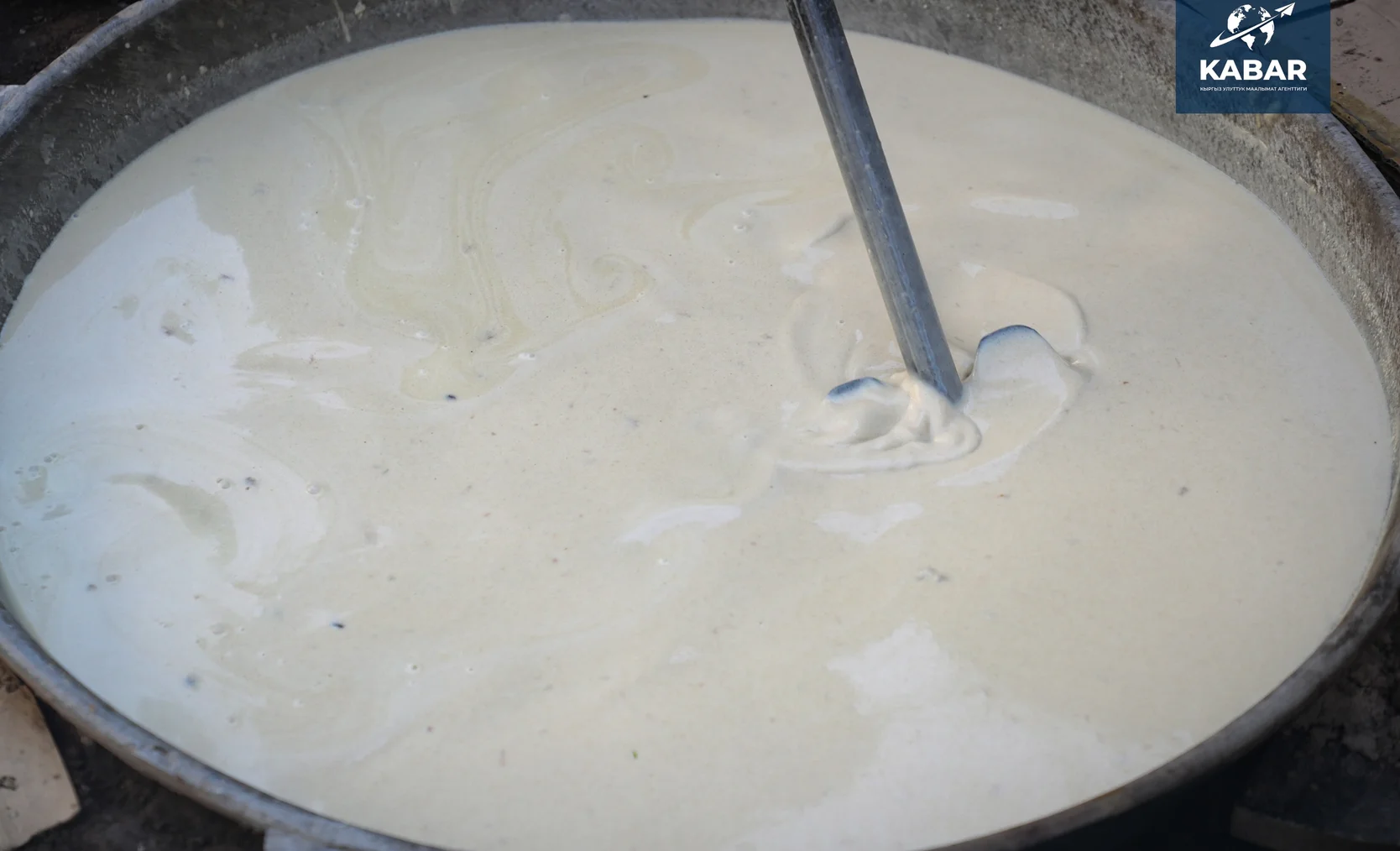 WhatsApp Image 2026-03-19 at 14.05.15.jpeg