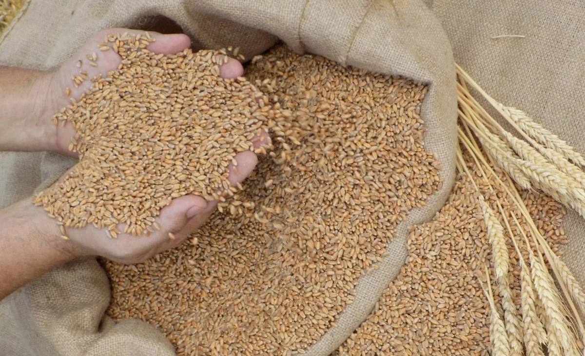 WhatsApp Image 2026-02-24 at 11.37.11.jpeg