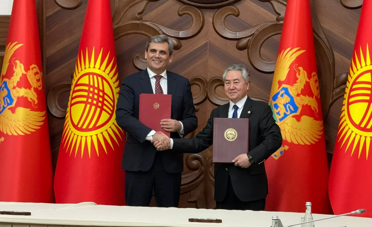 WhatsApp Image 2026-03-23 at 12.21.38.jpeg