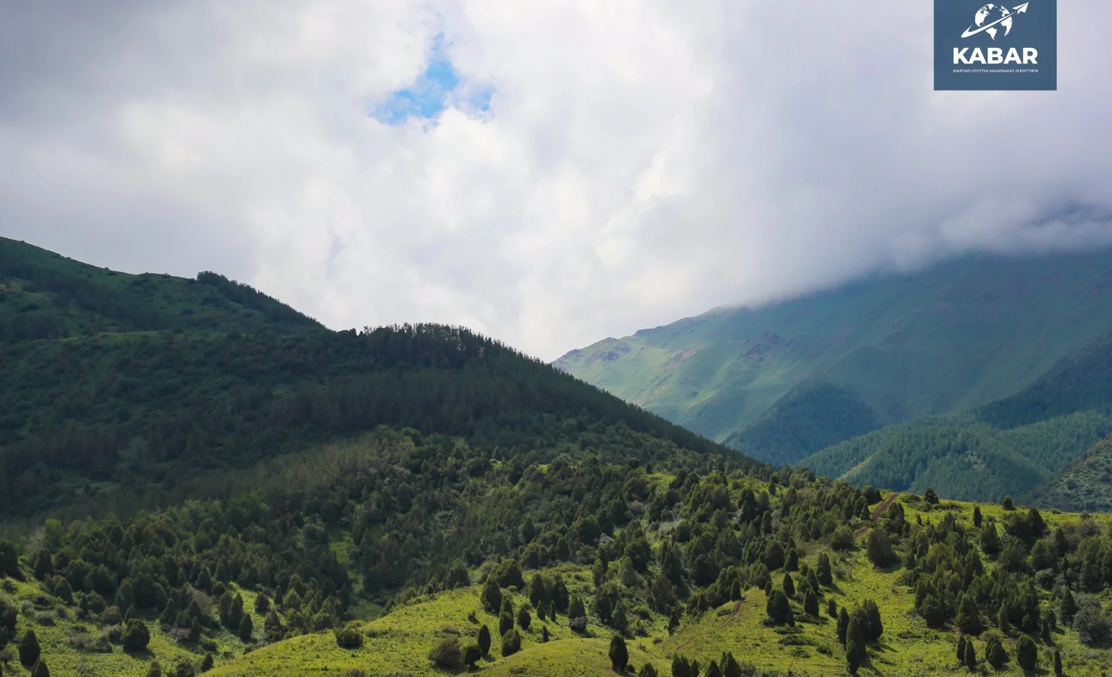 WhatsApp Image 2026-01-16 at 16.19.29.jpeg