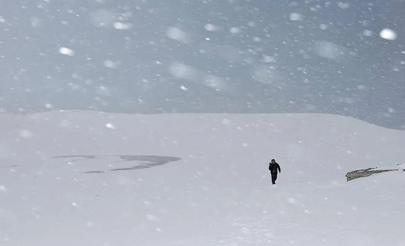 WhatsApp Image 2026-02-05 at 18.02.13.jpeg