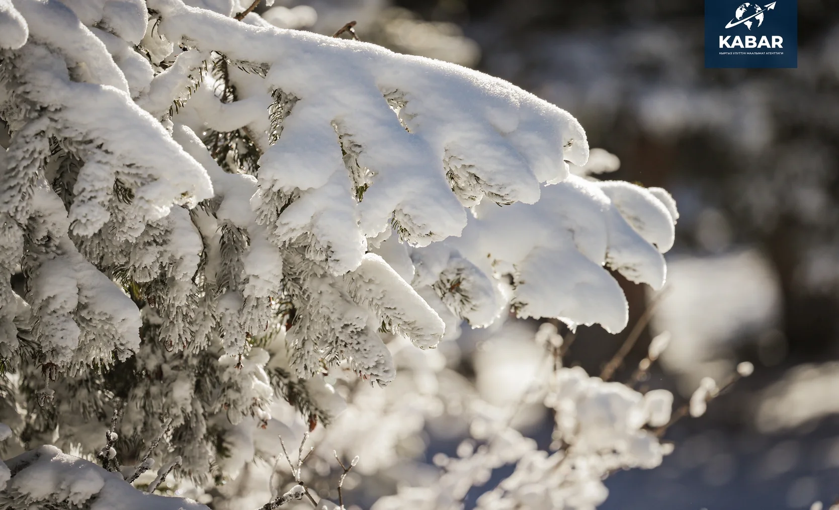 WhatsApp Image 2026-01-16 at 16.14.03 (1).jpeg