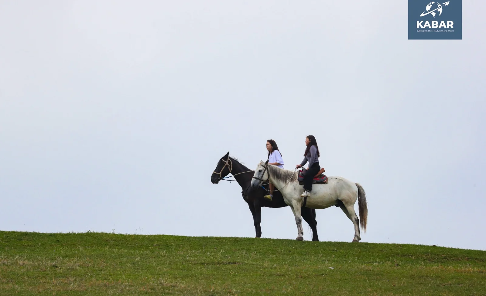 WhatsApp Image 2026-01-26 at 09.19.37 (1).jpeg