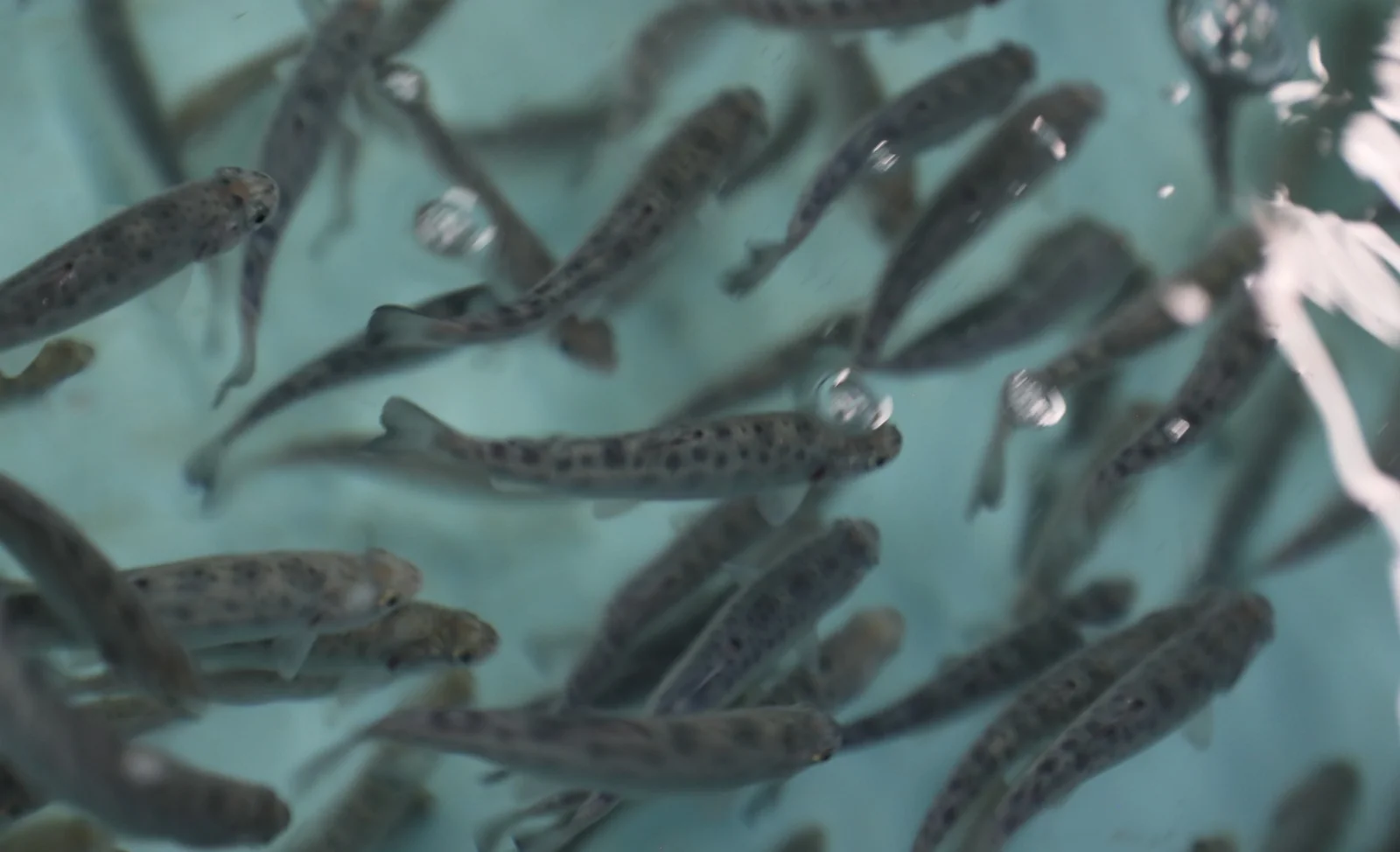 WhatsApp Image 2026-01-21 at 16.37.28.jpeg