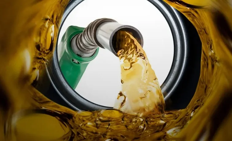 WhatsApp Image 2026-02-24 at 11.40.25.jpeg