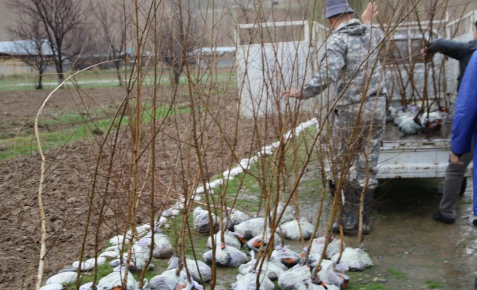 WhatsApp Image 2026-03-17 at 10.58.45.jpeg