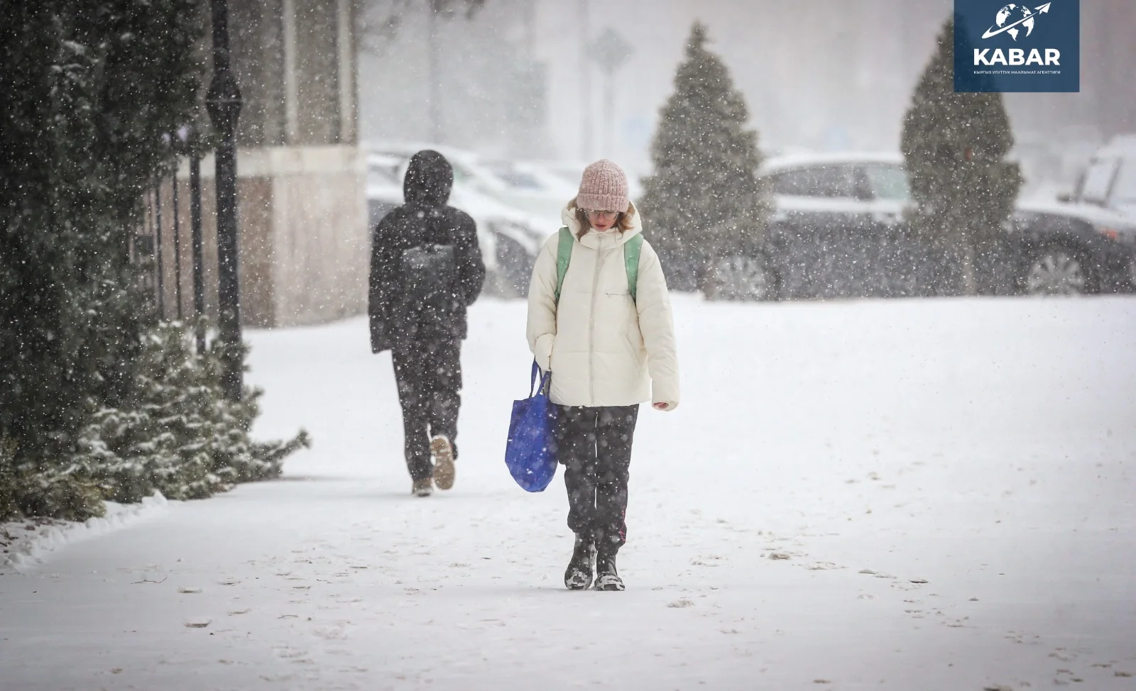 WhatsApp Image 2026-01-16 at 16.37.10.jpeg