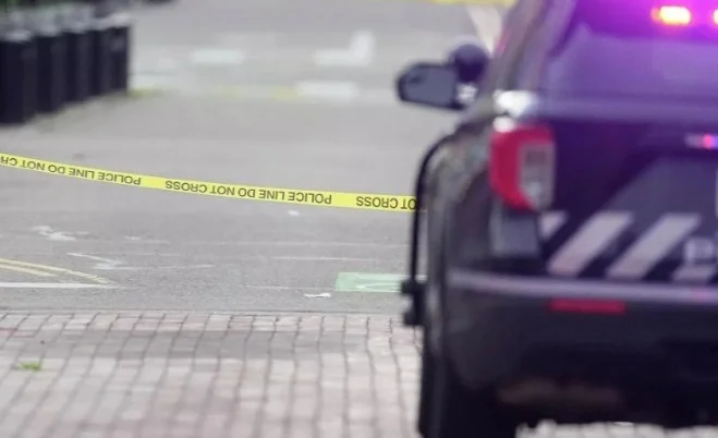 WhatsApp Image 2026-04-20 at 08.59.00.jpeg