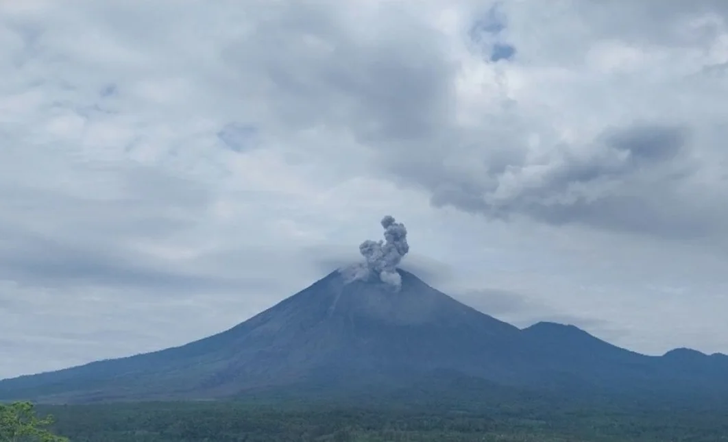 WhatsApp Image 2026-02-26 at 10.56.50.jpeg