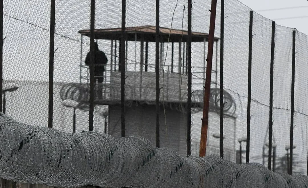 WhatsApp Image 2026-01-28 at 08.30.27 (1).jpeg