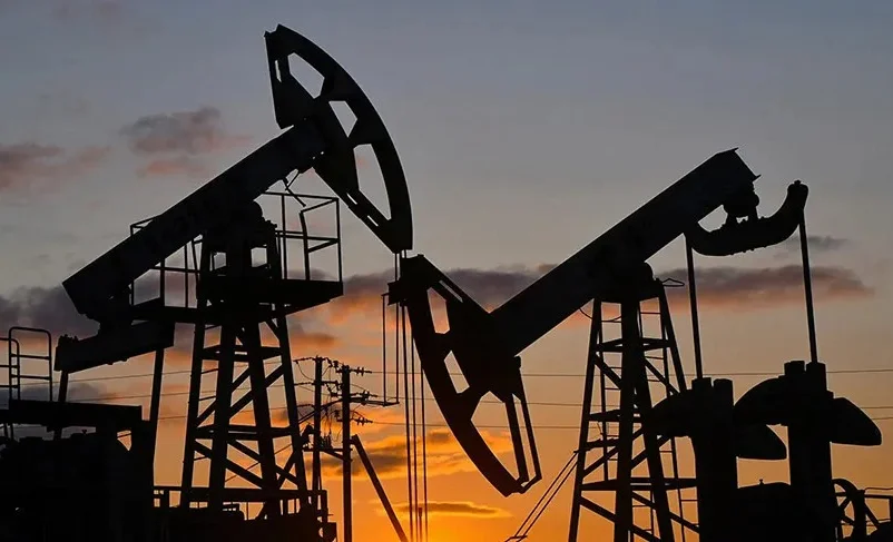 WhatsApp Image 2026-03-27 at 09.15.14.jpeg