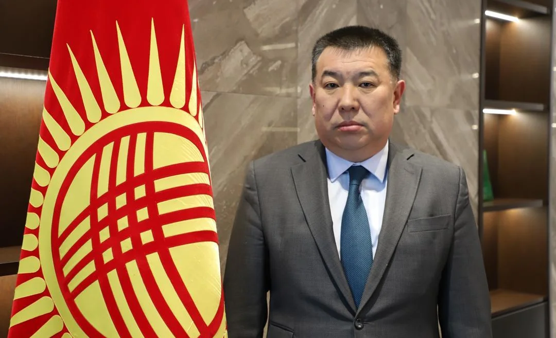 WhatsApp Image 2026-02-20 at 16.47.51.jpeg