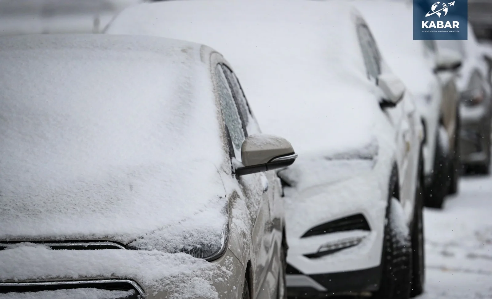 WhatsApp Image 2026-01-16 at 16.39.47 (1).jpeg