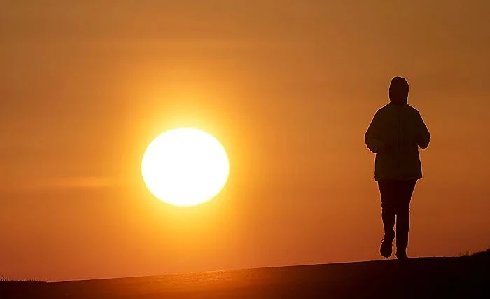 WhatsApp Image 2026-03-10 at 17.48.26.jpeg