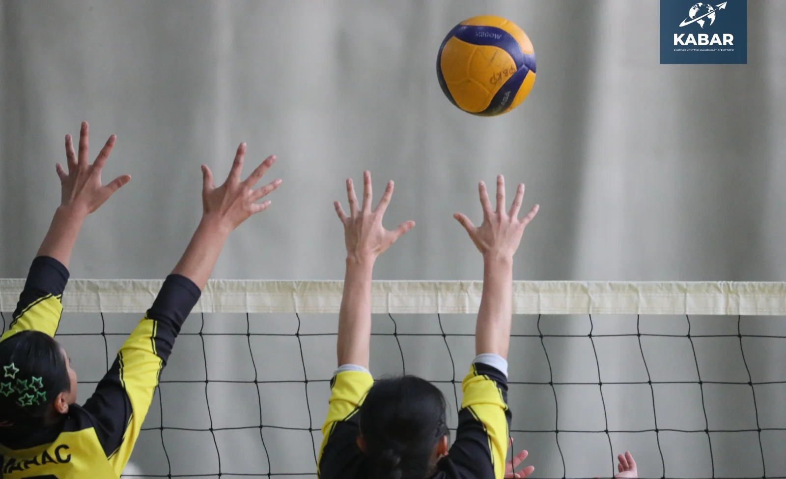 WhatsApp Image 2026-01-22 at 18.03.06 (2).jpeg