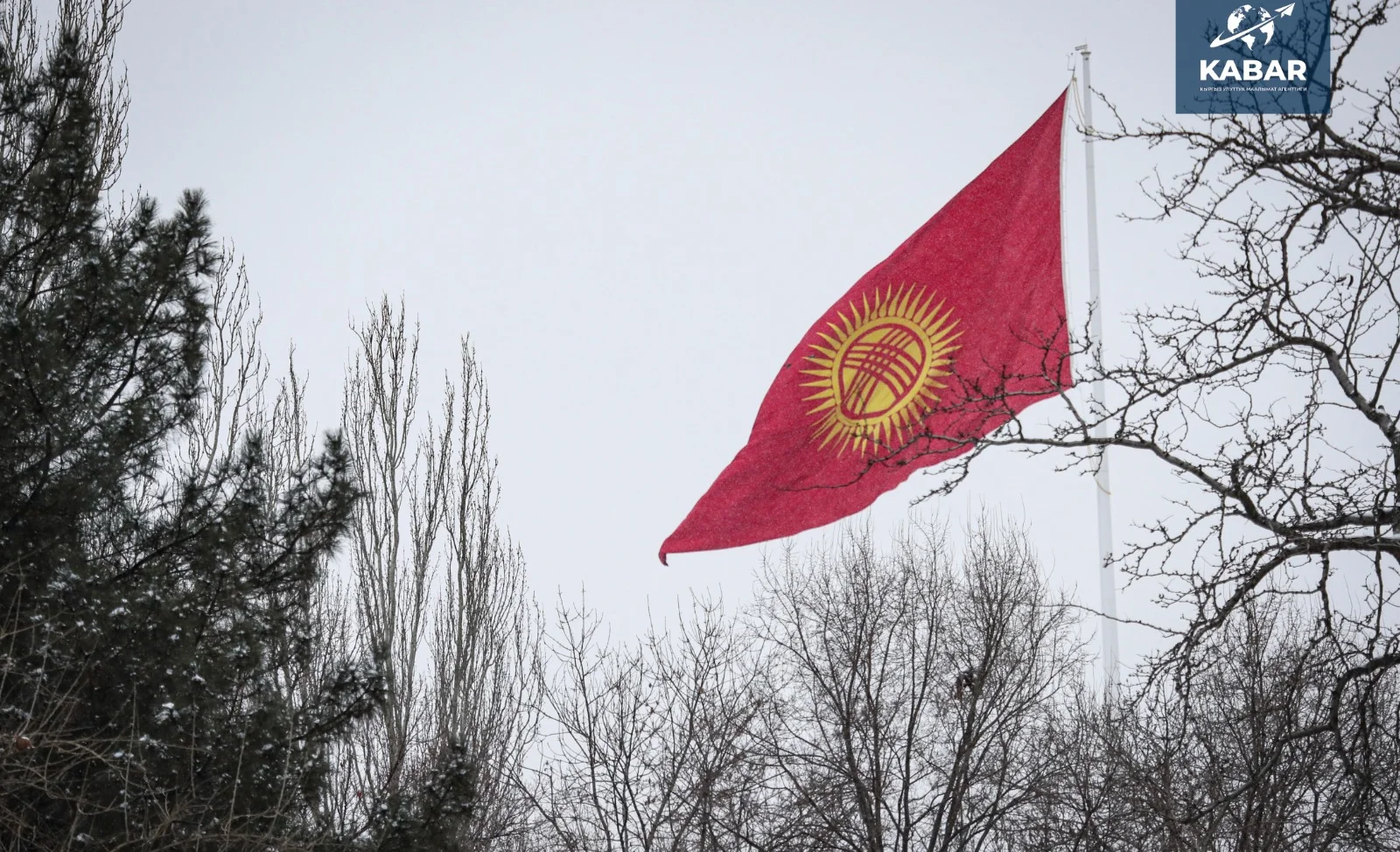 WhatsApp Image 2026-01-16 at 16.39.46 (1).jpeg